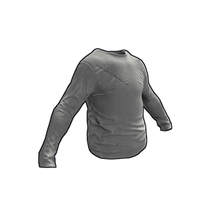 Grey Longsleeve T-Shirt