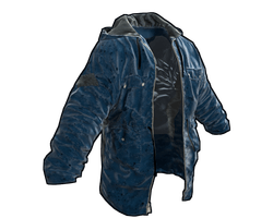 Blue Jacket