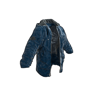 Blue Jacket