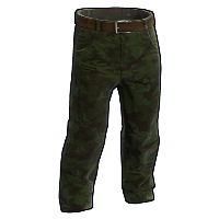 Forest Camo Pants