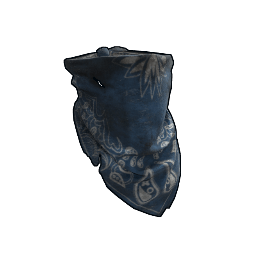 Blue Bandana
