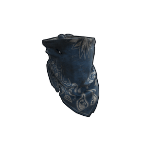 Blue Bandana