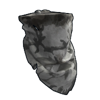 asset image