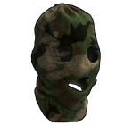 content image