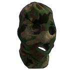 Forest Camo Balaclava