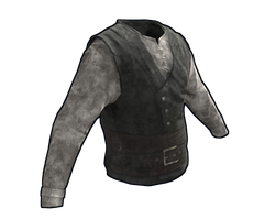 Pirate Vest & Shirt