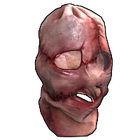 content image