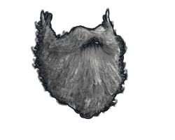 Santa Beard
