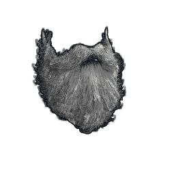 Santa Beard