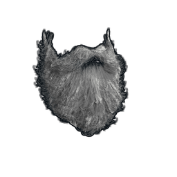 Santa Beard