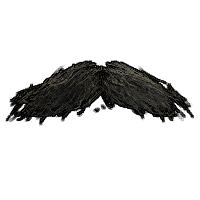 Movember Moustache