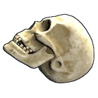 content image