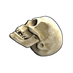 Skull