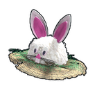 content image