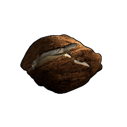 Coconut Rock