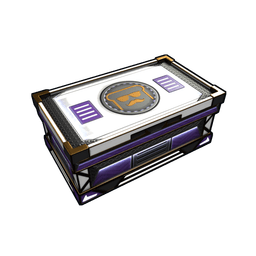 disguisedtoast Large Box