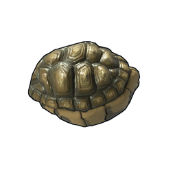 Tortoise Rock