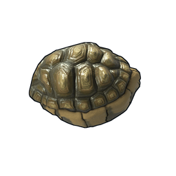 Tortoise Rock