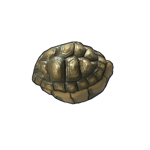 Tortoise Rock