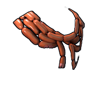 Sausages Poncho in Rust