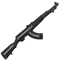 Limited Edition Training SKS in Rust