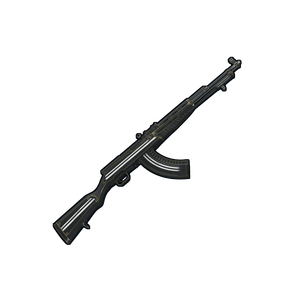 Limited Edition Training SKS