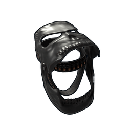 Funerary Helmet