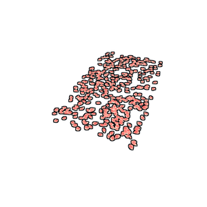 Rose Pedals Rug
