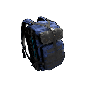 Arctic Backpack