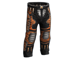 The Tiger Pants