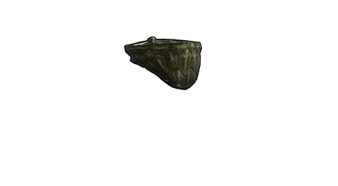 Reptile Hunter Bandana