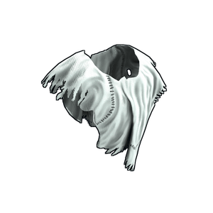 Ghost Guise Poncho