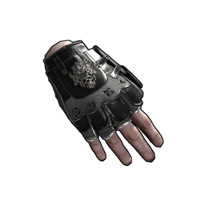 Black Diamond Gloves