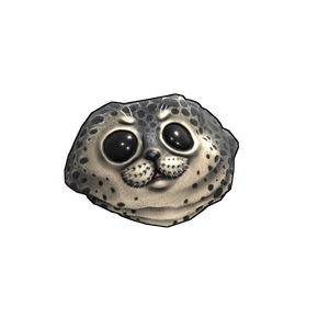 Harbor Seal Rock