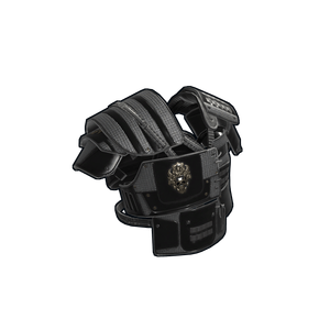 Black Diamond Roadsign Vest