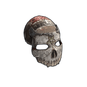The Awakened Facemask