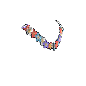 Lei