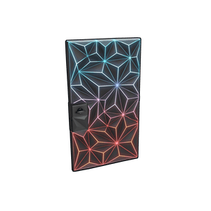 Neonwire Door