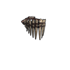 Bone Armor Bandana