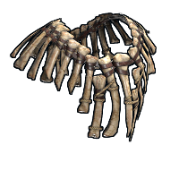 Bone Armor Poncho in Rust
