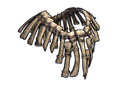 Bone Armor Poncho