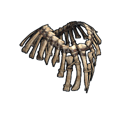 Bone Armor Poncho