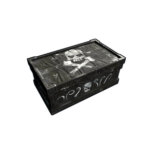 Pirate Large Box