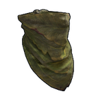 content image