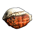 content image