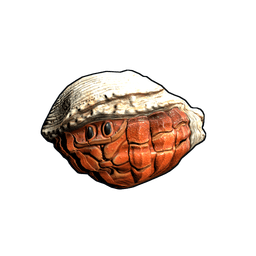Hermit Crab Rock