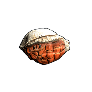 Hermit Crab Rock