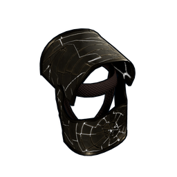 Concentric Helmet