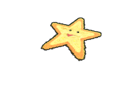 Starfish Rug