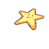 Starfish Rug